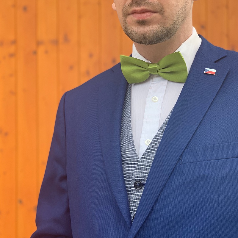 Zelený motýlek Color 