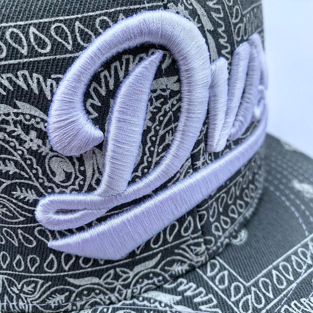 Kšiltovka DVS Bandana L/XL