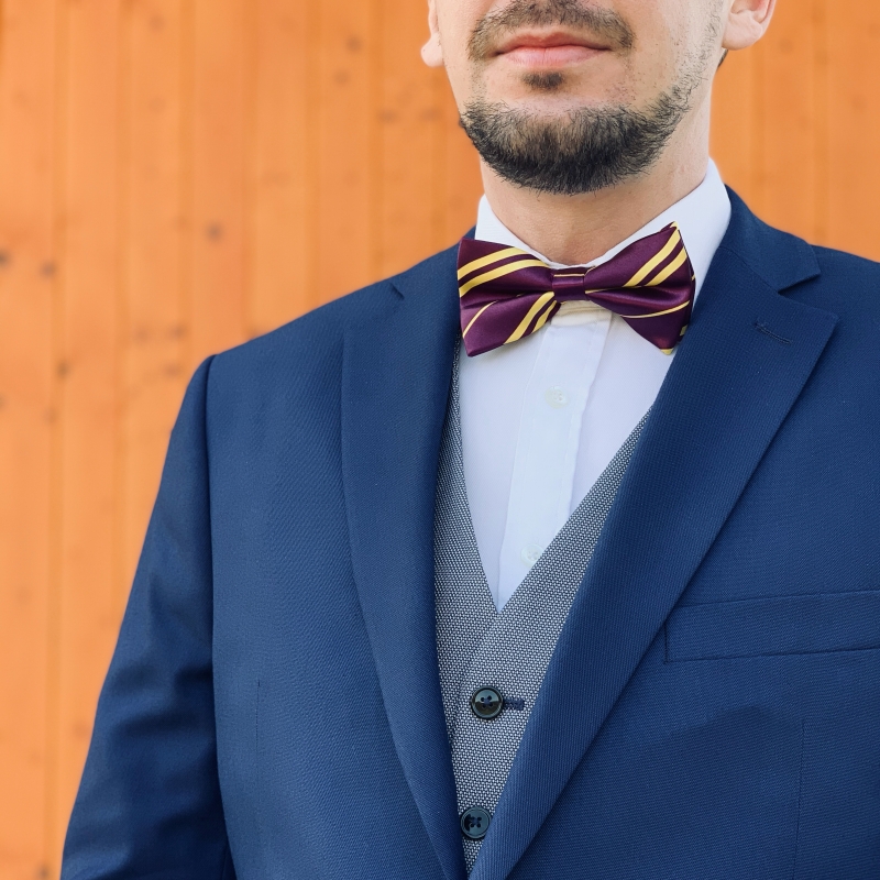 Fialovo - žlutý motýlek Pruhy 