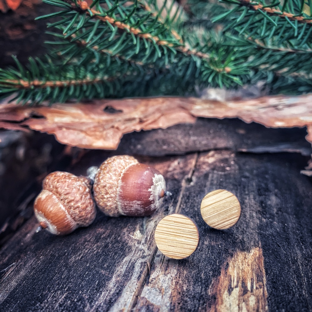 Dřevěné dámské náušnice Kruh 