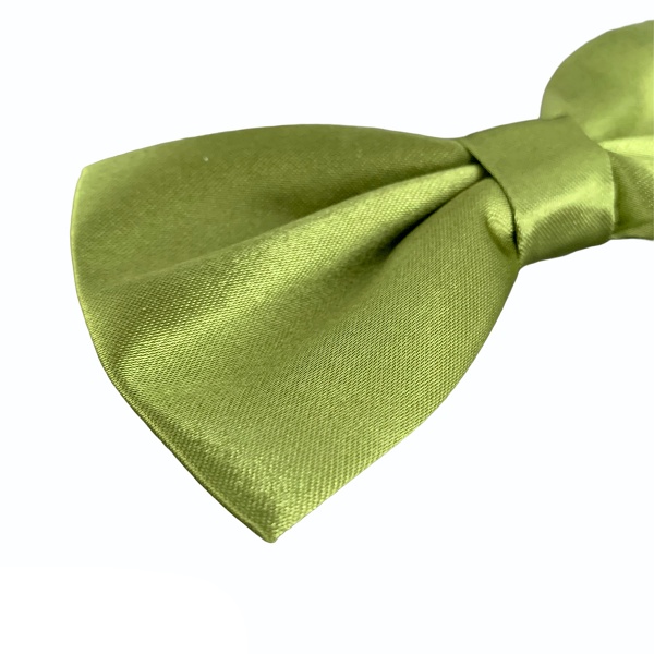 Zelený motýlek Color 